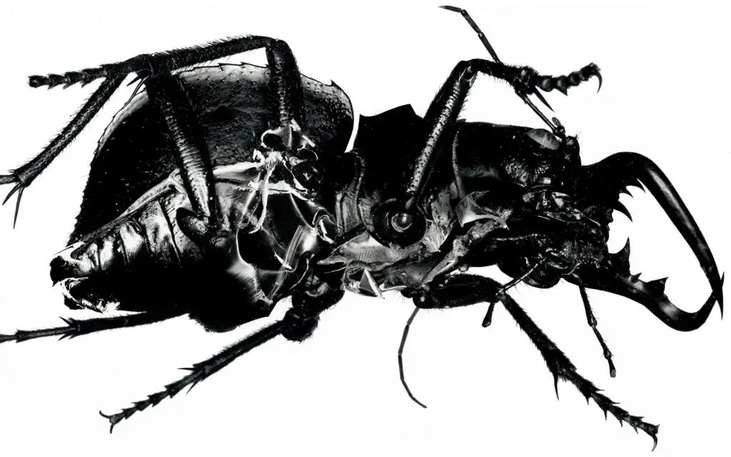 New Massive Attack Album